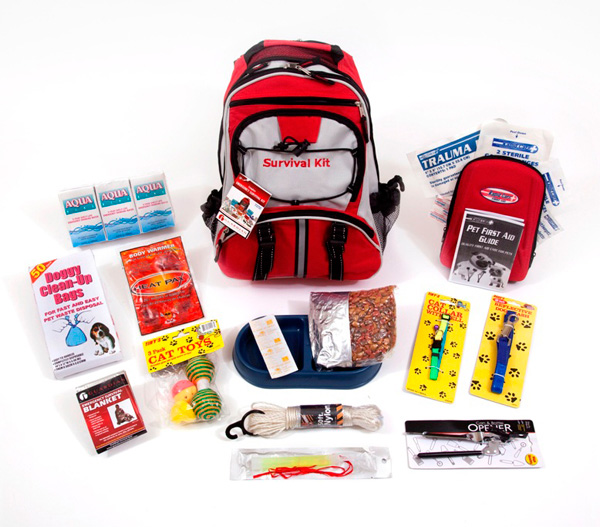 CSS Guardian Cat Survival Kit