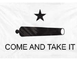 Come And Take It Flag
